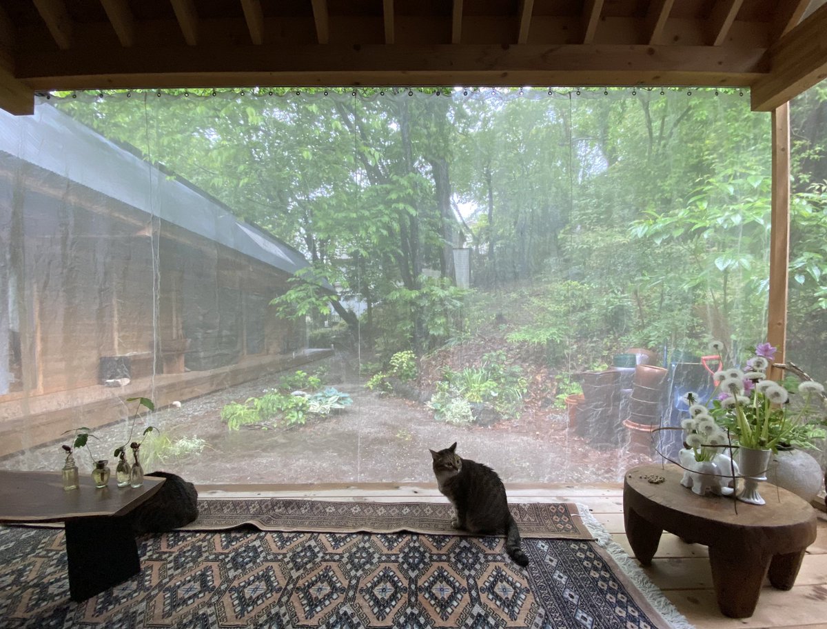 雨でデッキの縁が濡れるので絨毯を折り 猫がそこにで雨音を聞いている ツイ主さんがあげた何気ない生活写真が美しすぎる Togetter