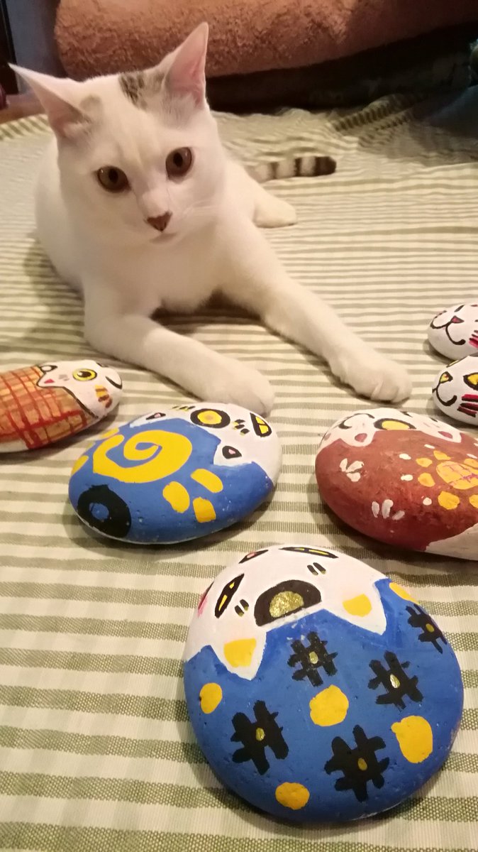 hamaneko__'s tweet photo. 猫らの集会。 https://t.co/CqfdRRM4kK