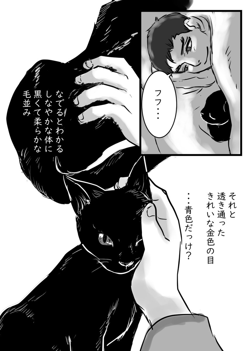 sgrp本Web再録「わたしはねこ」1/2 