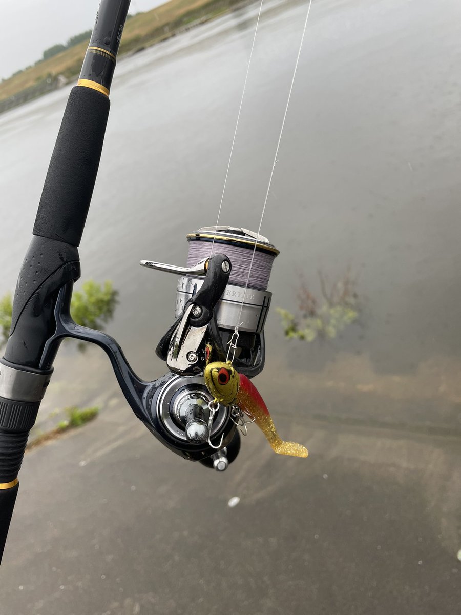 Haruki 海釣り垢 Fishingsaitama Twitter Haruki 海釣り垢 Fishingsaitama Twitter