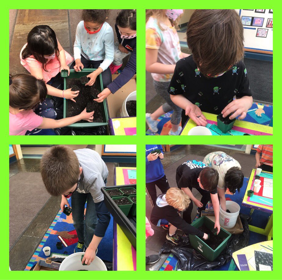 kaitlinsoccio's tweet photo. @NScituateSchool Ss &amp; I enjoyed planting 🌻 seeds today! Ss will grow these in their classroom &amp; monitor. They will take one 🏡 &amp; the other will be planted in our school garden! Thank you @sciencepup2 for providing us with ALL the materials! #handsonlearning https://t.co/Ahf49IMCWF