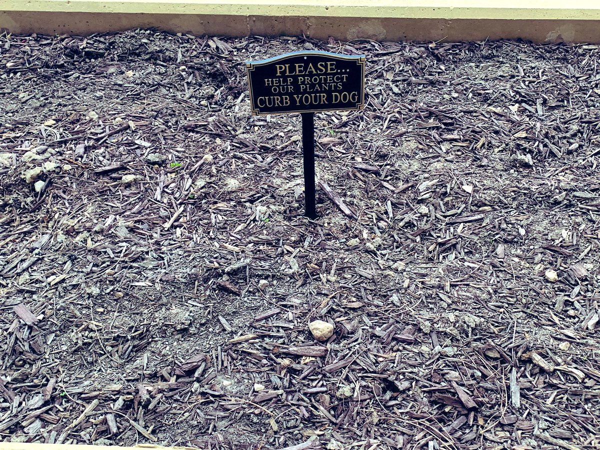 What am I missing here?