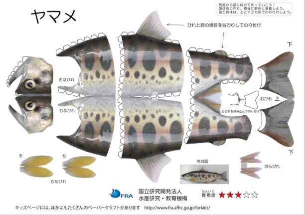 水産庁のホームページには？50種類以上の魚のペーパークラフトがある！