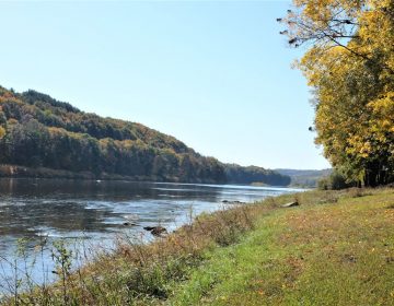 LambertvilleCC's tweet photo. It’s the last of the Delaware River’s shad fisheries, and the fish are scarce 🐟
https://t.co/ppEaFqqkTw
#VisitLambertville #LewisIsland #ShadFish #Shad #DelawareRiver #DelawareRiverTowns https://t.co/lgEMWmO2Gs