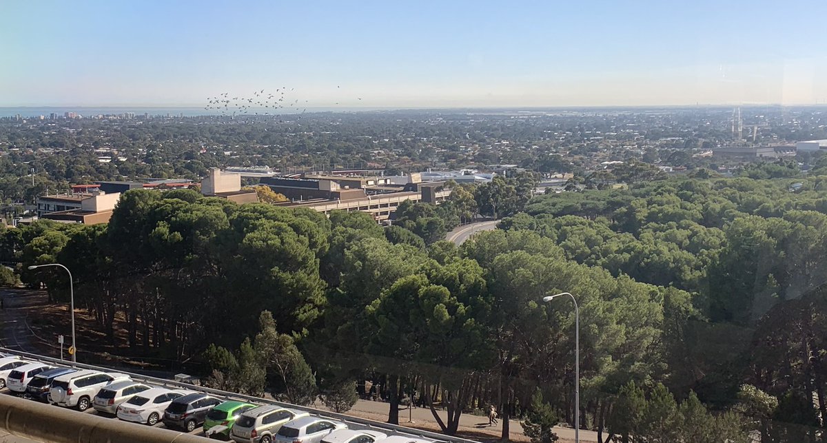 LizWalkleyHall's tweet image. Nearly every north-facing level 3 window seat of the @FlindersLib Central Library is occupied this morning, understandably with this view for inspiration! 
#studentlife #studywithaview #libraryviews