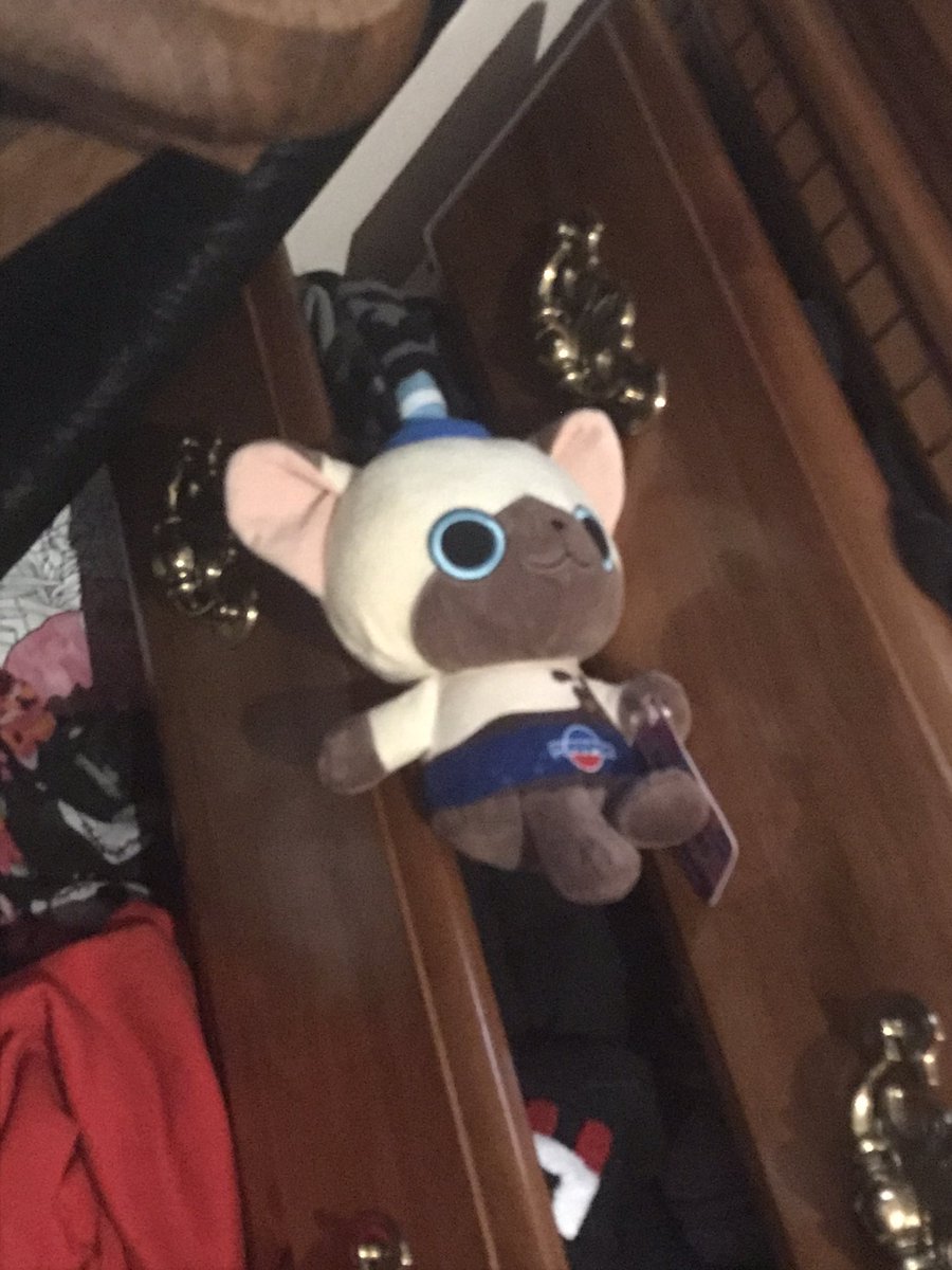 End of thread for Bucko but not for my antfrost Pepsi plush