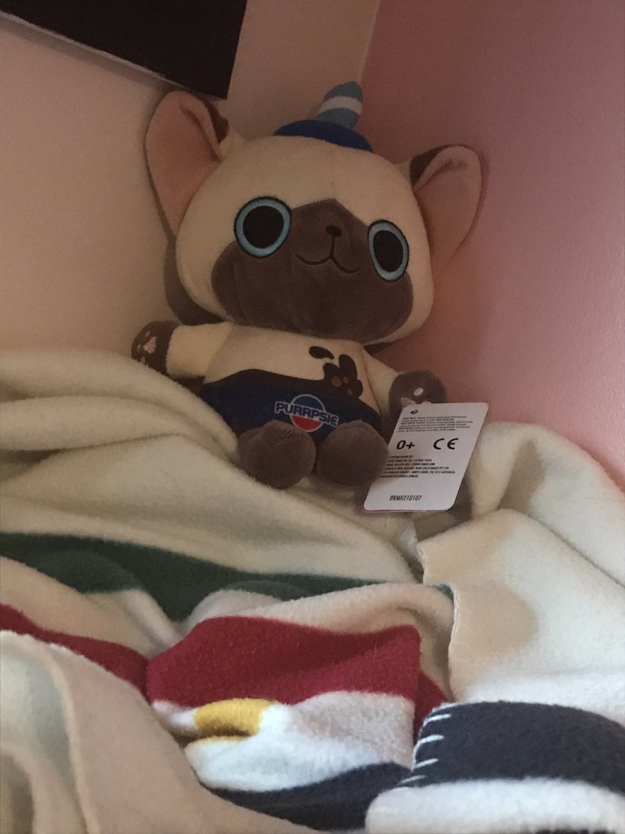 End of thread for Bucko but not for my antfrost Pepsi plush