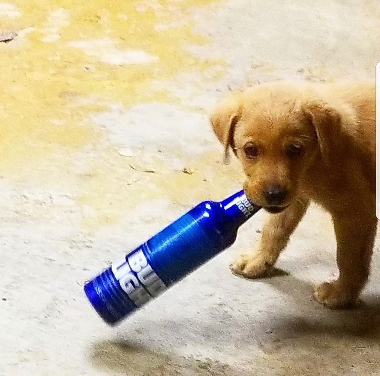 BreauxRachel's tweet image. #BuschCTOcontest