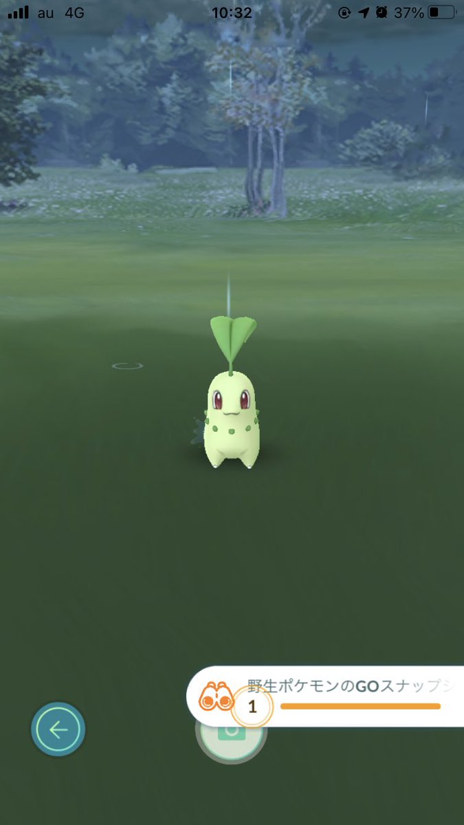 さとちんママ まみ 野生のポケモンのgoスナップショット写真を撮る リワードストックしていたポケモンは カウントされました この場合チコリータ