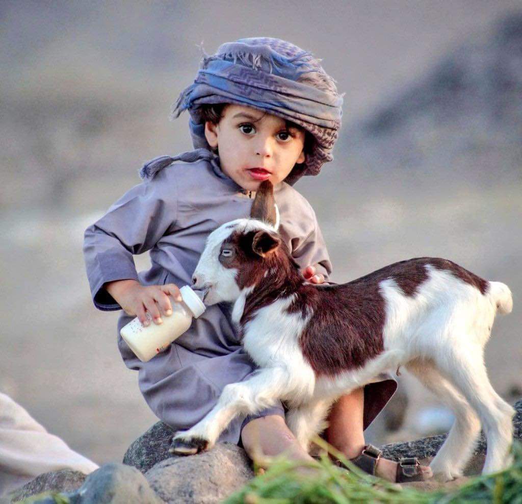 عمر احمد (@hhit6ky0jtvoyo2) on Twitter photo 