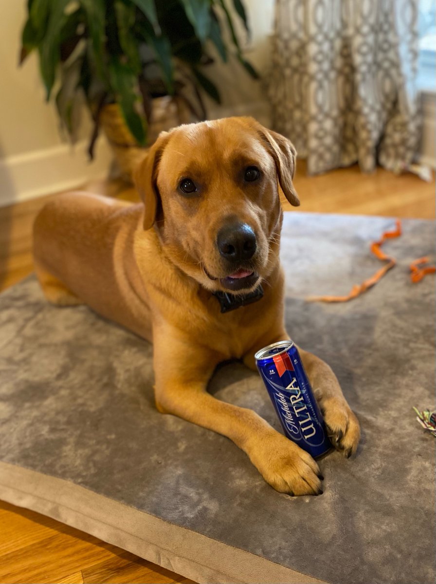 BreauxRachel's tweet image. #BuschCTOcontest