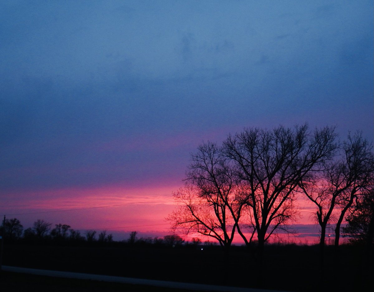 UniqueName099's tweet photo. Vivid color tonight! #sunset #skyobsession https://t.co/DiZ9Xro4Lm