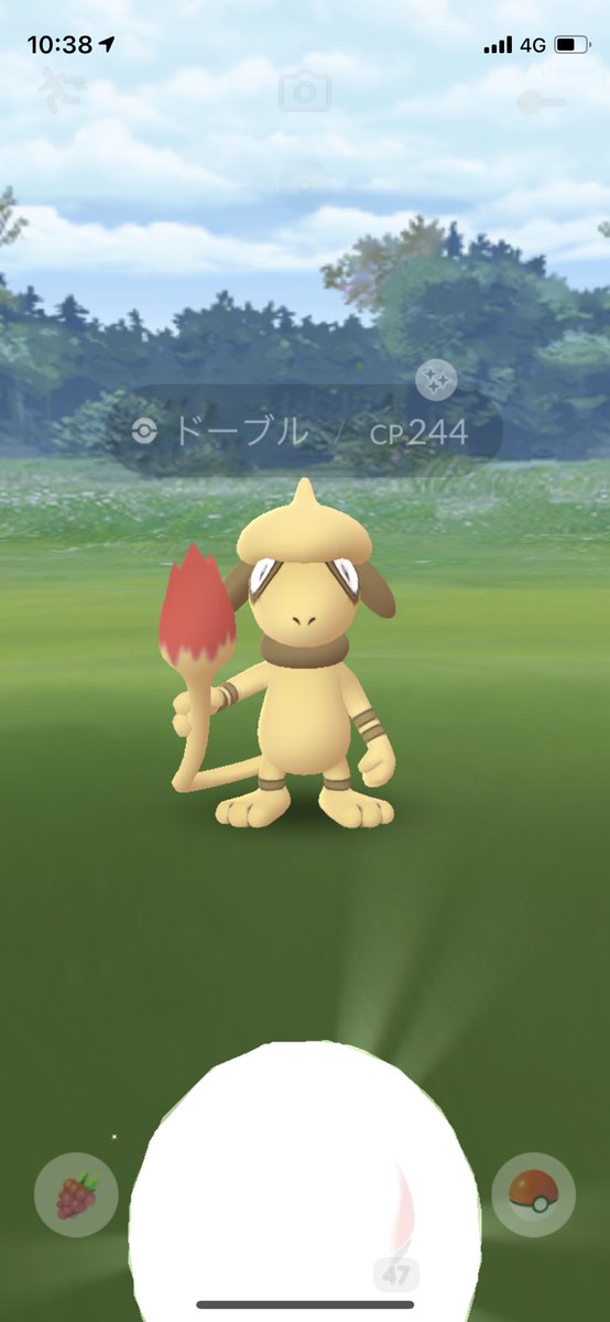 ドーブル色 Hotワード