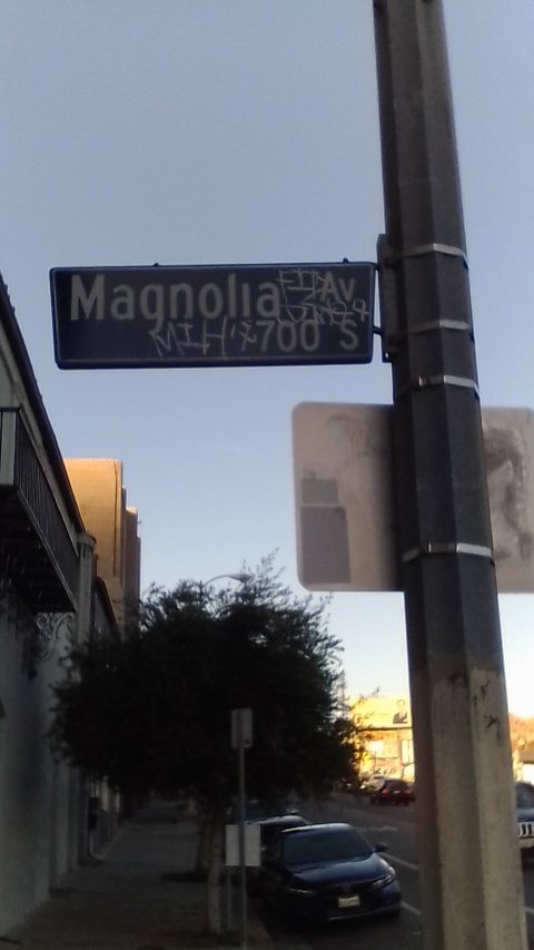 meaty_team's tweet photo. Magnolia 7th Street #striveNOLA #TO https://t.co/QCUxnJQNPW