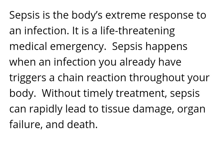 So, my birthday last 2019 is one of the most painful birthdays I had. My father has been suffering sepsis. Sepsis is a very dangerous illness. I'll just leave the important info here.well, thank you google for helping me to explain hehe.