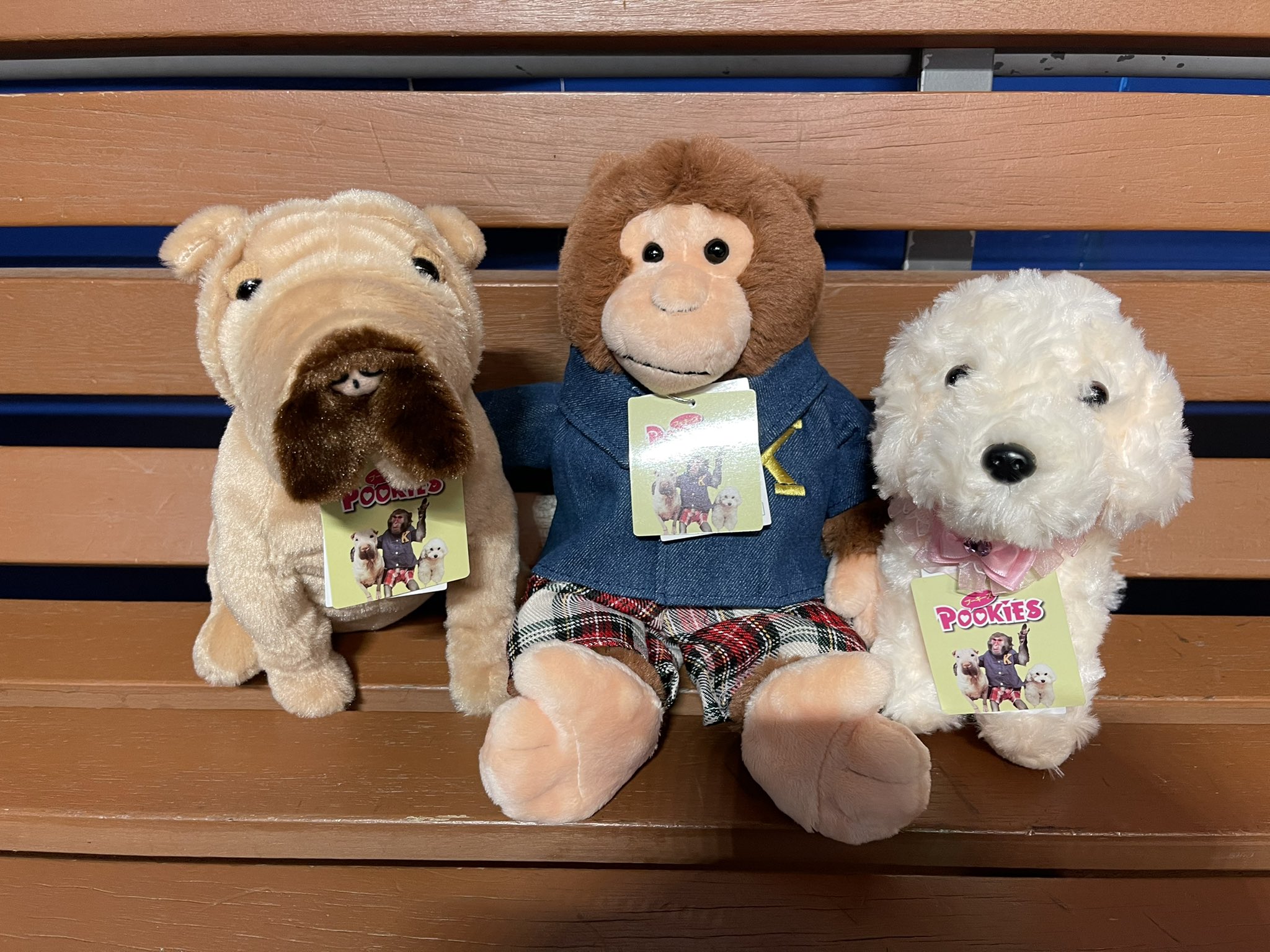 プーキーズ なんとなんと プーキーズのぬいぐるみが出来ましたー みんな可愛い 当面はカドリードミニオン園内売店での販売になります お越しの際はぜひぜひお買い求めくださいー プーキーズ ぬいぐるみ めちゃ可愛い ルートくんは プーキーズ なんとなんと プーキーズのぬいぐるみが出来ましたー みんな可愛い 当面はカドリードミニオン園内売店での販売になります お越しの際はぜひぜひお買い求めくださいー プーキーズ ぬいぐるみ めちゃ可愛い ルートくんは