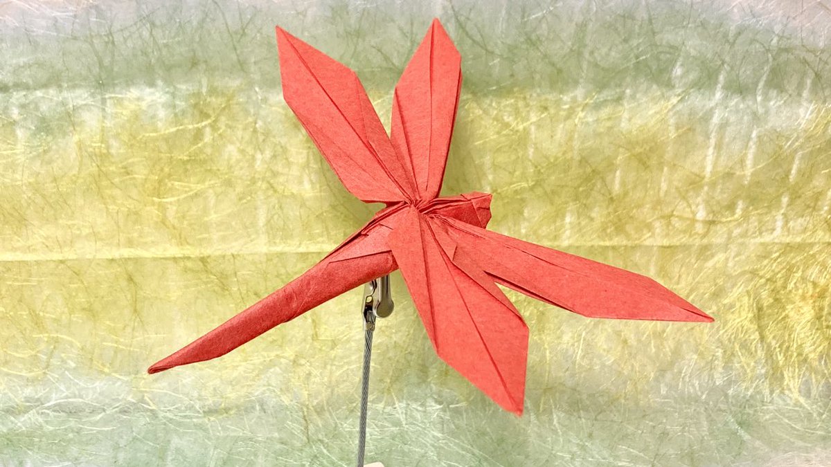 かーくん على تويتر トンボの折り方を投稿しました Origami Dragonfly How To Fold 折り紙 トンボの 折り方 T Co 57kwx4fbl0 Youtubeより 折り紙 Origami トンボ Dragonfly 昆虫 T Co Eyjlhj4hsg かーくん على تويتر トンボの折り方を投稿しました Origami Dragonfly How To Fold 折り紙 トンボの 折り方 T Co 57kwx4fbl0 Youtubeより 折り紙 Origami トンボ Dragonfly 昆虫 T Co Eyjlhj4hsg