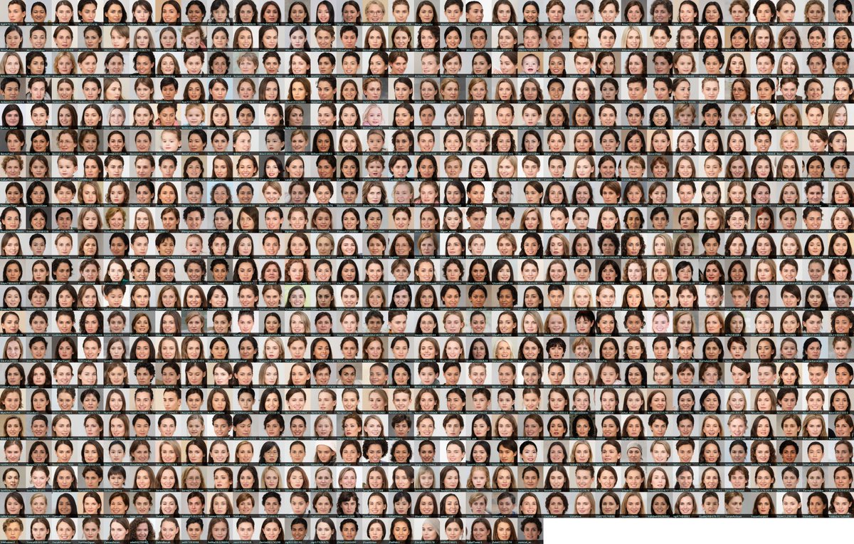 This network uses 3 different types of GAN-generated profile pic (GAN = "generative adversarial network, the AI technology used to produce the images):• 681 human faces ( https://thispersondoesnotexist.com )• 660 cats ( https://thiscatdoesnotexist.com )• 656 anime pics ( https://thiswaifudoesnotexist.com )