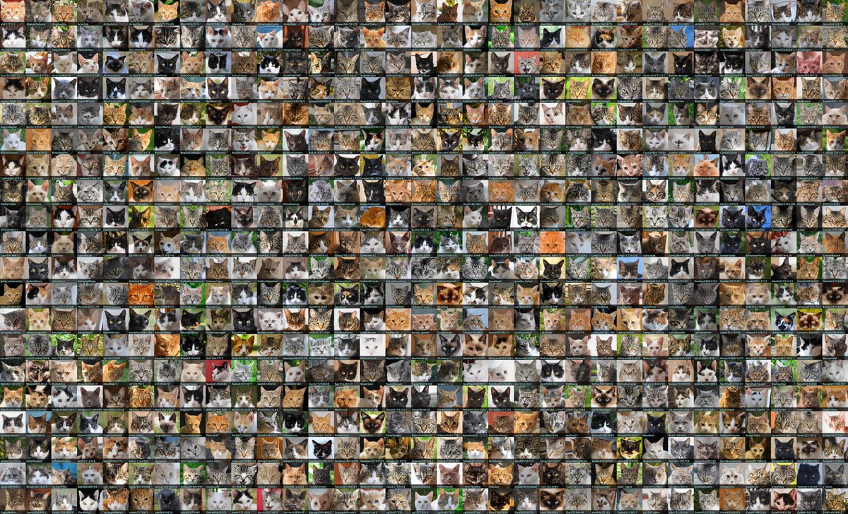 This network uses 3 different types of GAN-generated profile pic (GAN = "generative adversarial network, the AI technology used to produce the images):• 681 human faces ( https://thispersondoesnotexist.com )• 660 cats ( https://thiscatdoesnotexist.com )• 656 anime pics ( https://thiswaifudoesnotexist.com )