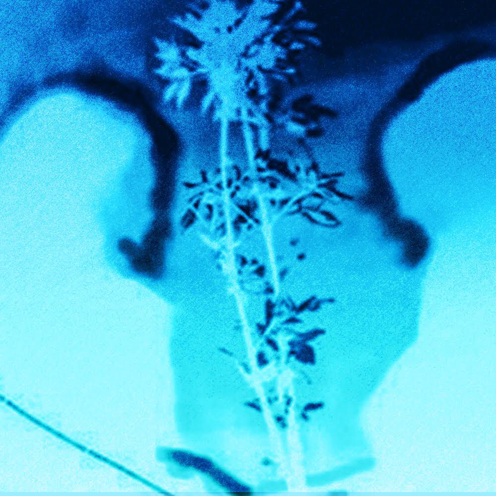 Amnita <a href="/amnita_ca/">Amnita</a>はEP "Fevers"を4月30日にリリースすると発表しました
smarturl.it/bssc6w