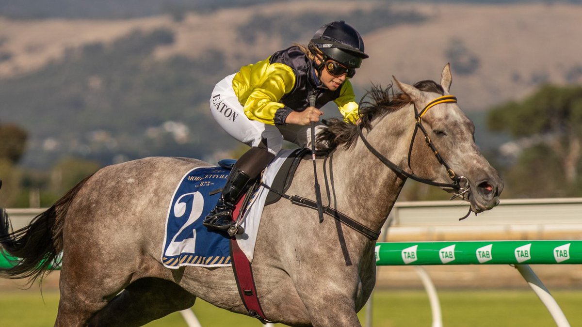 RacingSA's tweet photo. βIβd be inclined to think we might roll forward and then just play it by ear.β
Mick Huxtable is confident a wide gate won't impact Ecumenical's chances in Saturday's #AustralasianOaks
STORY | https://t.co/MNKW7tGjMg https://t.co/cIqoplvwoH