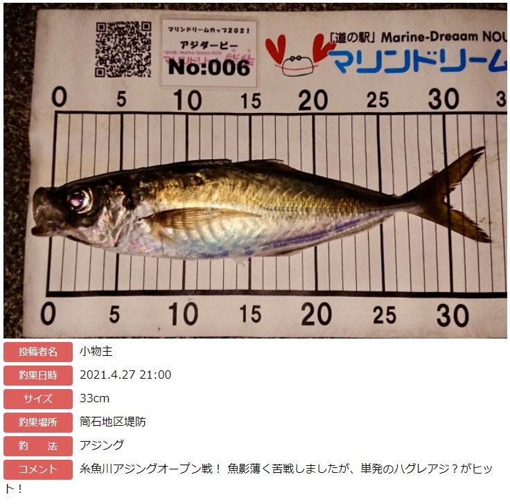 マリンドリーム能生釣り部 Marinedreamcup Twitter マリンドリーム能生釣り部 Marinedreamcup Twitter
