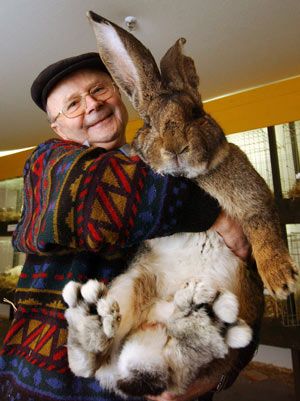 If I had an enormous rabbit I wouldn't be on the news just holding it up. I'd be on the news for using it to rob a bank or mug someone, or something.