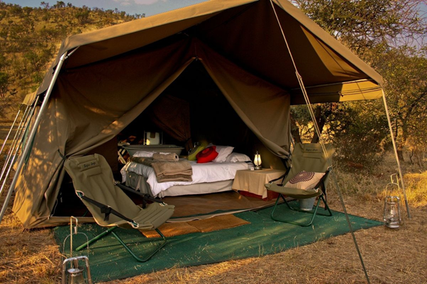 wilderheritage's tweet photo. Tanzania 2 day’s Camping Safari lets you win a perfect blend of an authentic, affordable and relaxing safari experience that is placed in some of Africa’s greatest wildernesses.

#2dayscampingsafari #trekkingtour #nature #tanzania #africa #safaritanzania #wildlife #adventurelife https://t.co/LQI2TJmKIo