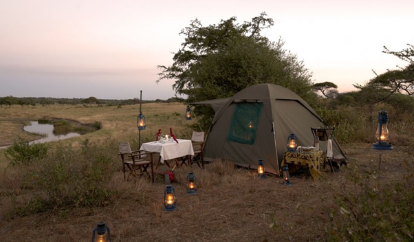 wilderheritage's tweet photo. Tanzania 2 day’s Camping Safari lets you win a perfect blend of an authentic, affordable and relaxing safari experience that is placed in some of Africa’s greatest wildernesses.

#2dayscampingsafari #trekkingtour #nature #tanzania #africa #safaritanzania #wildlife #adventurelife https://t.co/LQI2TJmKIo