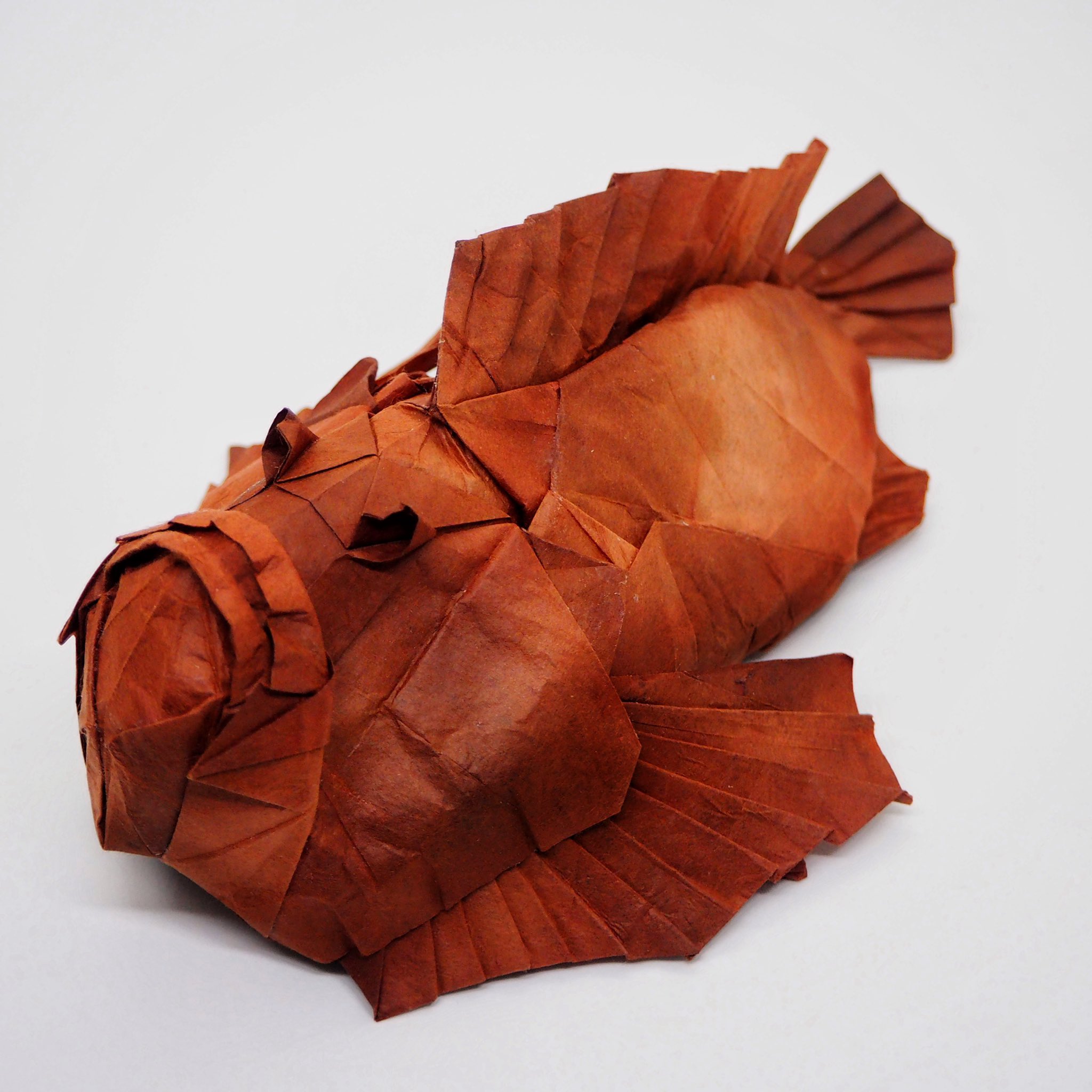 Origami Brasil Rt Eikun Dayo オニダルマオコゼ Stonefish 富永和裕 Kazuhiro Tominaga 楮ぼかし Kouzo Washi 38cm 折り紙 Origami 究極のおりがみ T Co Gzvcnzipfd Twitter