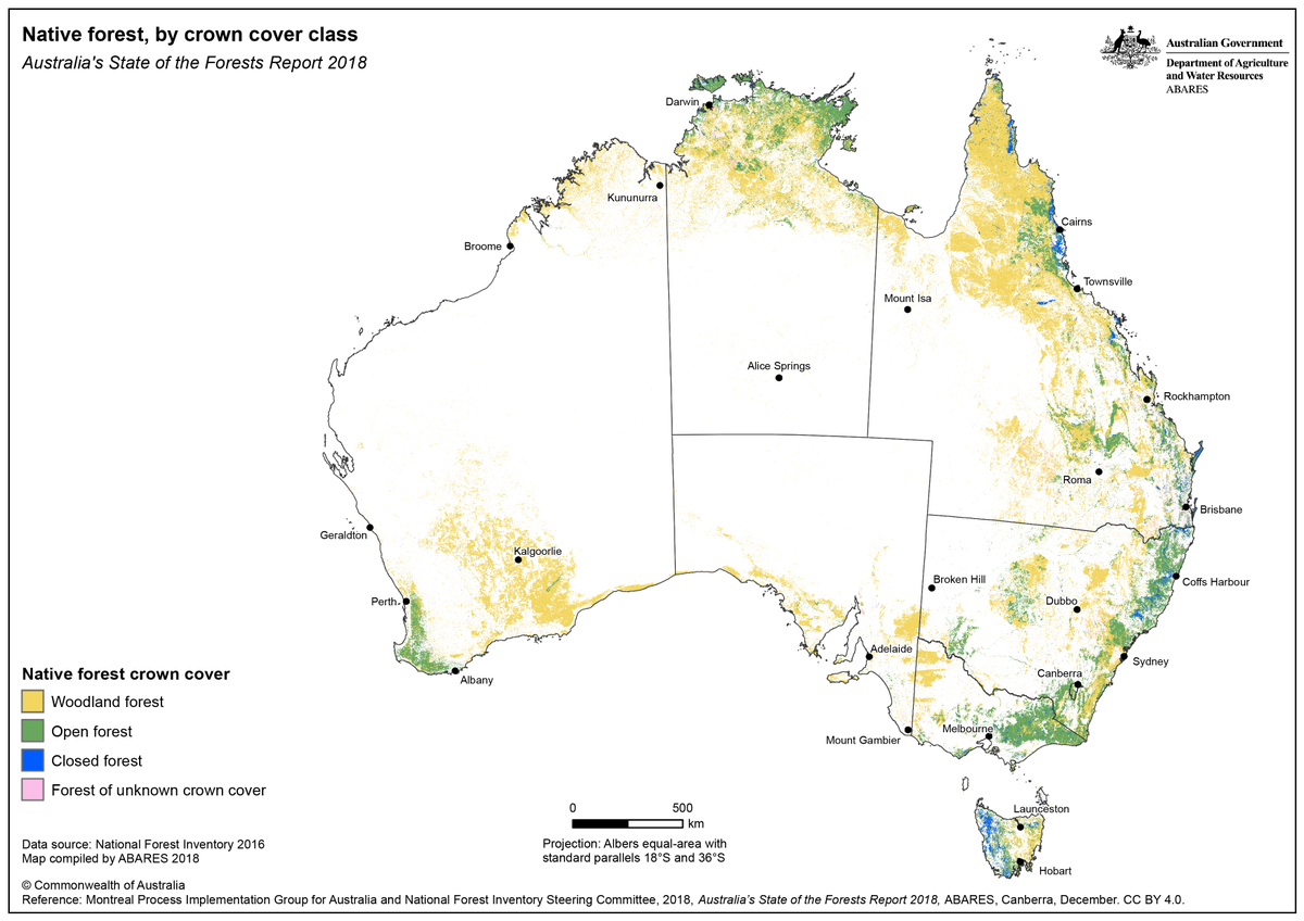 AustraliaMaps's tweet photo. #NativeForest in  #Australia, by crown cover class (2018)

https://t.co/auV7AYbMAx

 #maps https://t.co/Gz39ymjKNh