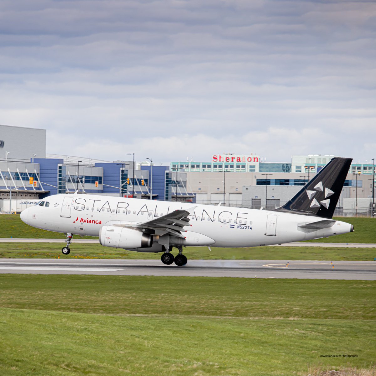 AviationBeavers's tweet photo. Avianca’s “Star Alliance” A319 touching down on runway 33L in Toronto!
-
@Avianca 
@Airbus 
@TorontoPearson 
-
#avianca #a319 #aviation #yyz #Toronto #staralliance #SanSalvador #airbus #planespotting #avgeek https://t.co/77gnMPHmWB