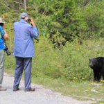 本当にクマが悪いのか？クマが撃たれる原因を作っている人たち!