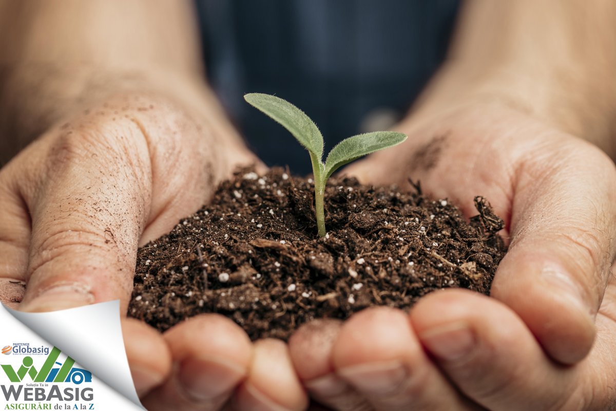 WebASIG's tweet image. Dacă vrei să te bucuri de un an roditor, indiferent de prognozele meteo, nu uita să închiei o Asigurare Agricolă pt. culturile tale.

Cere-ne o ofertă sau mai multe info!
(📞 0756-52 52 52 / 💻 Web-ASIG.ro)

#WebASIG #Cluj #AsigurariAgricole #AsigurariCulturiAgricole