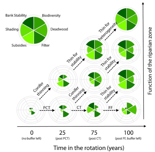 Amazing team effort led by <a href="/emhasselquist/">𝙴𝚕𝚒𝚣𝚊 𝙼𝚊𝚑𝚎𝚛 𝙷𝚊𝚜𝚜𝚎𝚕𝚚𝚞𝚒𝚜𝚝</a> suggesting novel solutions for riparian buffer management in Sweden. #DeciduousTreesAreGreat
authors.elsevier.com/c/1c~NT_8cEVSI…