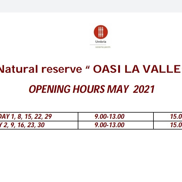 L'Oasi la Valle riapre al pubblico!
maggio: solo visite autonome, ingressi contingentati,  mascherina, distanze di sicurezza. I fotografi potranno accedere solo nei giorni e/o negli orari di chiusura al pubblico.
#oasinaturalisticalavalle #coopalzavola #lagotrasimeno #siriparte