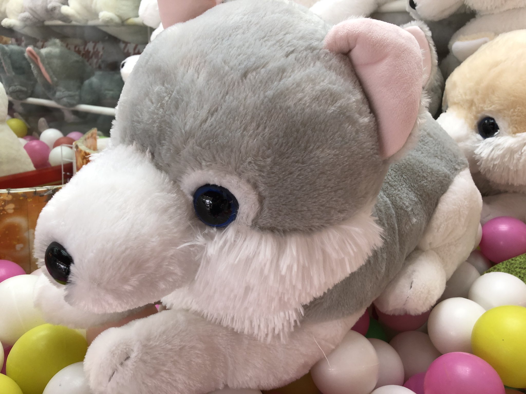 タイトーステーション 千歳店 もふっとオオカミくつろぎbigが入荷致しました カワイイけどカッコいい なんだかちょっと神秘的な オオカミのぬいぐるみです 今回は初の伏せポーズです タイトー 千歳 プライズ タイステ 入荷 タイトーステーション 千歳店 もふっとオオカミくつろぎbigが入荷致しました カワイイけどカッコいい なんだかちょっと神秘的な オオカミのぬいぐるみです 今回は初の伏せポーズです タイトー 千歳 プライズ タイステ 入荷