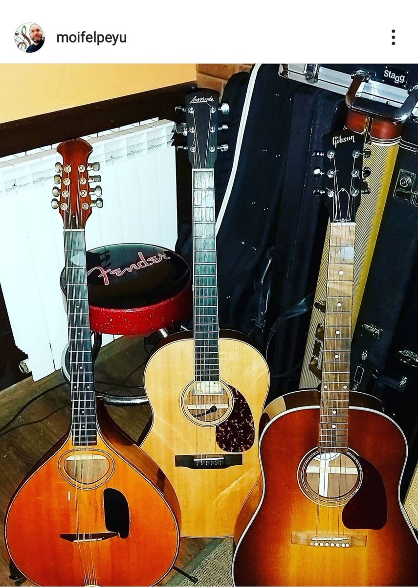 Entamen los ensayos y los conciertos!