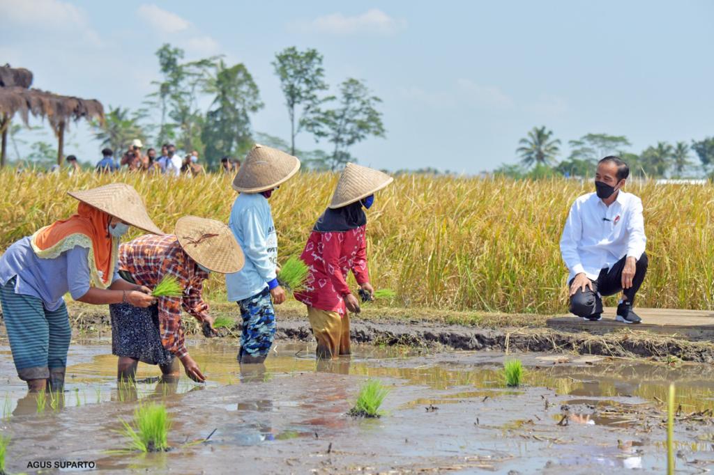 Bersama Ketua DPR Ibu Puan Maharani menyaksikan petani menanam dan memanen padi di persawahan Desa Kanigoro, Malang, siang tadi.

Dengan hasil panen yang baik, kalkulasi yang tepat, impor beras diharapkan tidak perlu lagi.