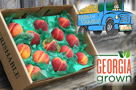 We're now accepting pre-orders for our Sweet #GeorgiaPeaches! 🍑 New Subscription options available, too --> bit.ly/3aglsff Fresh from our farm to your family! Shipping begins early June. #georgiagrown @ExploreGeorgia