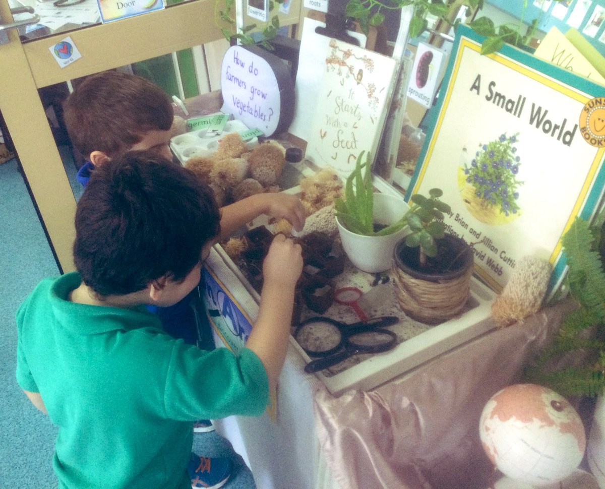 Where does our food come from? The Pre-Primary children are learning about the Technological processes involved in getting our meals on the table #marketgarden #farmtotable #technologicalprocesses #handsonlearning #preprimary