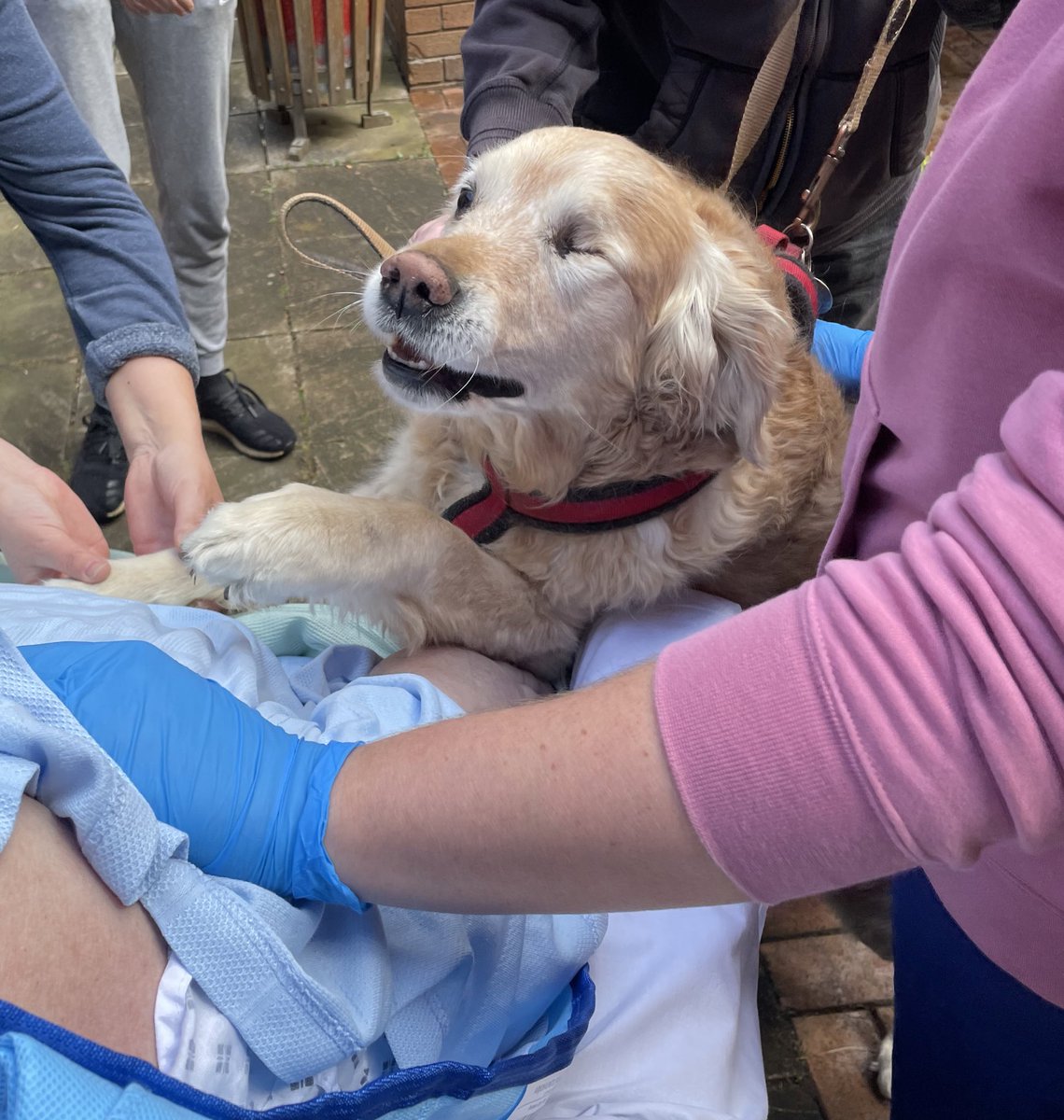 Joannathomas79's tweet photo. First trip out of the unit for one of our long-standing patients to see her family, and most importantly, her dog! And it was her birthday! One of the things we do to try and brighten someone’s day! #rehablegend #respisbest @whhrespphysios @WHHCriticalCare @LauraWalton80 https://t.co/FD5vkvFZxN