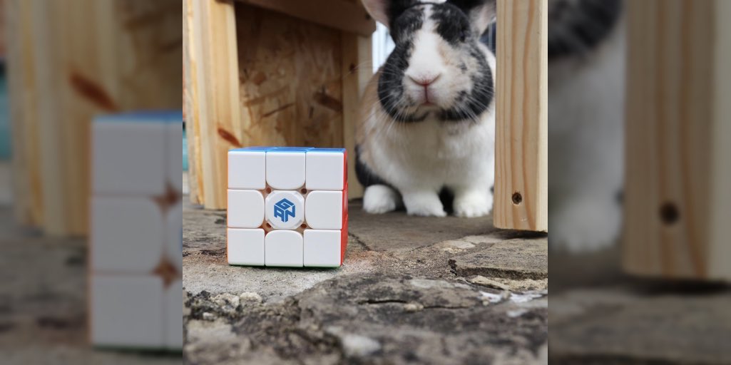 gancube's tweet photo. Old friend with new friend. @jamesrust777

#GANCUBE #GAN356icarry #CubePlay2.0 #jamesrust777 https://t.co/631alhUvo6