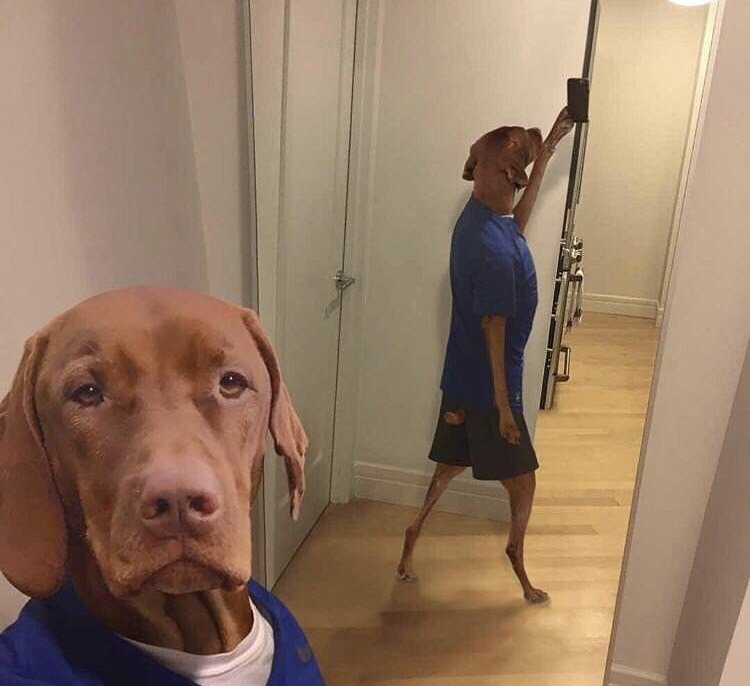 all my selcas - a thread