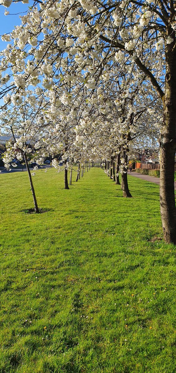 Milton_Kween's tweet photo. Happy #LoveMK day! I wouldn't wanna be anywhere else #mk #miltonkeynes #lovewhereyoulive 💗🐄 https://t.co/LDn0UOfmno