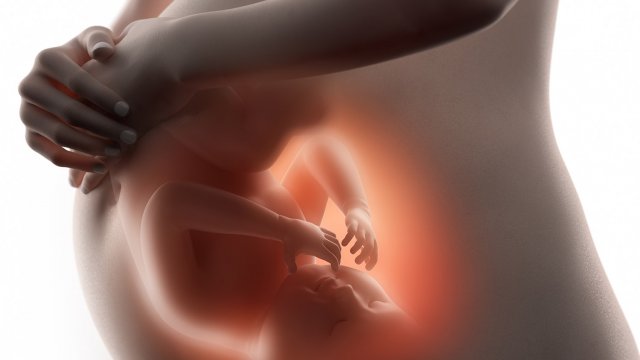 Iriba News Umwana Iyo Avuka Anyura Mu Mukondo T Co Nbkoqubmk5 Rwot Rwanda