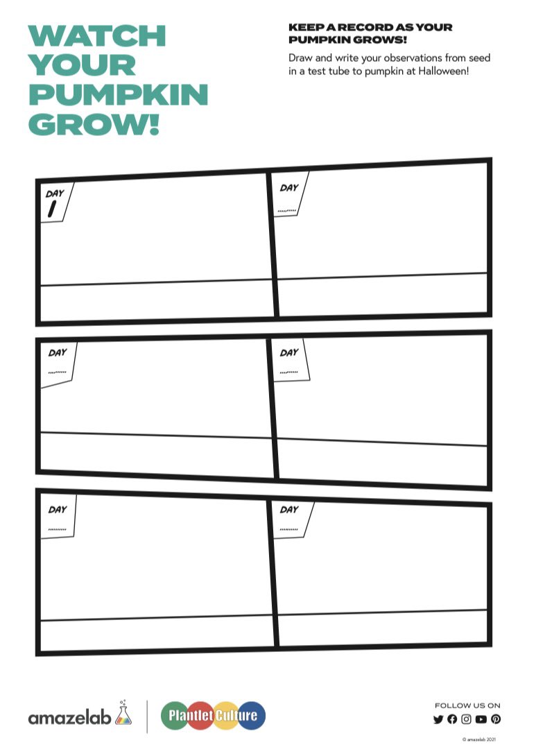 🎃 Got your pumpkin in a test tube? 
If not order here: etsy.com/uk/listing/971…
🎃Now it’s time to watch it grow 🌱 download your observation sheet here: bit.ly/Pumpkin-Diary
🎃 Make sure to share your progress with us! 
🎃Amazelab X Plantlet Culture 
🎃 Enjoy and have fun!