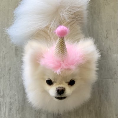 HotBows's tweet image. #NewProfilePic