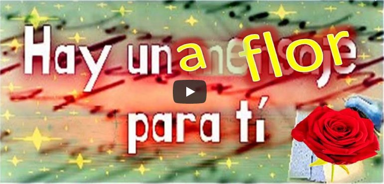 Artículo✍️#RedEvolucion 🌈🌍📡del día: "Hay una flor para ti", del <a href="/IesPablo/">IES PABLO SERRANO</a> ➡️<a href="/ies_rrcc/">IES Reyes Católicos</a> <a href="/IesCajal/">IES Ramón y Cajal Zaragoza</a>  <a href="/IesLucas/">IES Lucas Mallada</a> <a href="/CPRamiroSolans/">CEIP Ramiro Solans</a> <a href="/CEIPFECZGZ/">FERNANDO EL CATÓLICO</a> <a href="/CEIPCatalinArag/">CEIP Catalina de Aragón</a> <a href="/BuenCeip/">CEIP Odón de Buen</a> <a href="/CandidoDomingo/">CEIP Cándido Domingo</a> <a href="/VictorCeip/">CEIP Víctor Mendoza</a> <a href="/CEIPDomingMiral/">CEIP Domingo Miral</a> 📲redevolucion.catedu.es/proyectos/proy…