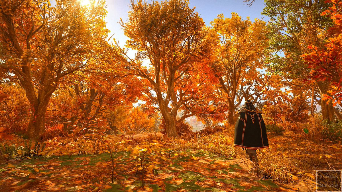 Amianan_NiRaGuB's tweet photo. Autumn Trees. 🍁🍂🌳

#AssassinCreedValhalla #AssassinsCreed #ACFinest #ACPhotoMode #ValhallaRaptor #PS4Share #Ubisoft

@assassinscreed @UbisoftMTL @Ubisoft

#VirtualPhotography #VGPUnite #WVPLandscape #VPEclipse #ArtisticofSociety #TCCAlone #ZarnGaming #TheCaptureCollective https://t.co/v1kRnOdG6s